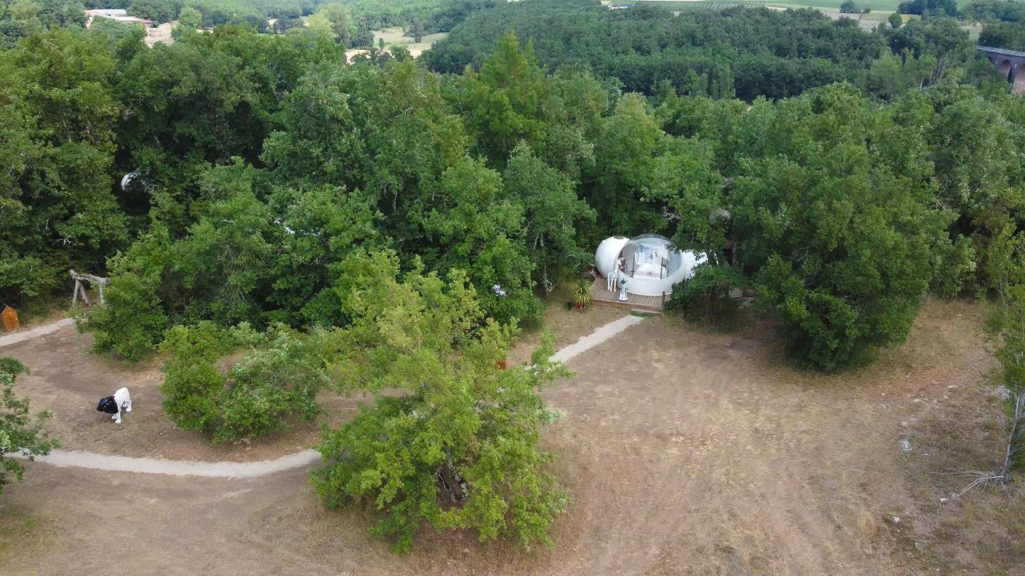 Coeur De Bull' Villa Cahuzac-sur-Vere ห้อง รูปภาพ
