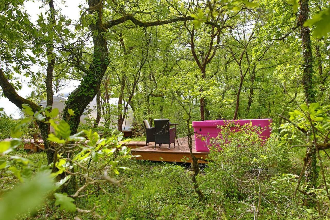 Coeur De Bull' Villa Cahuzac-sur-Vere ภายนอก รูปภาพ